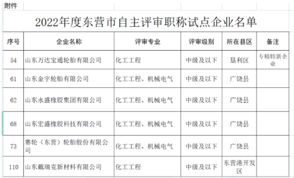 職稱自主評審，5家輪胎企業(yè)試點！